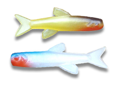 Small fish