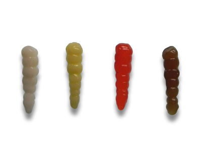 Maggots